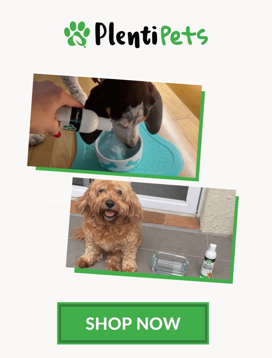 banner-photos