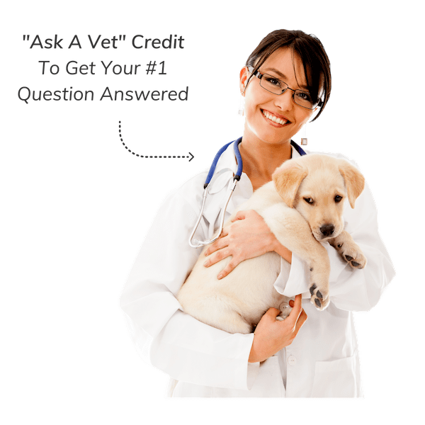 speakers-dog-health-solutions-summit (5)-min (1)
