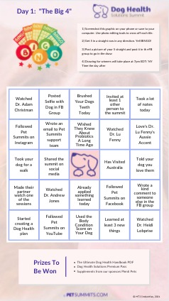 bingo-card