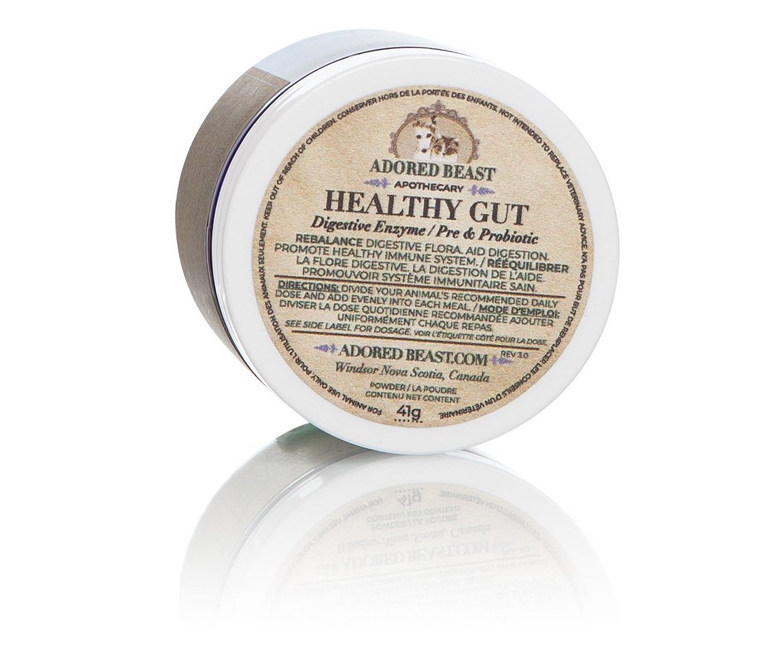 Healthy-Gut-4_1200x1200