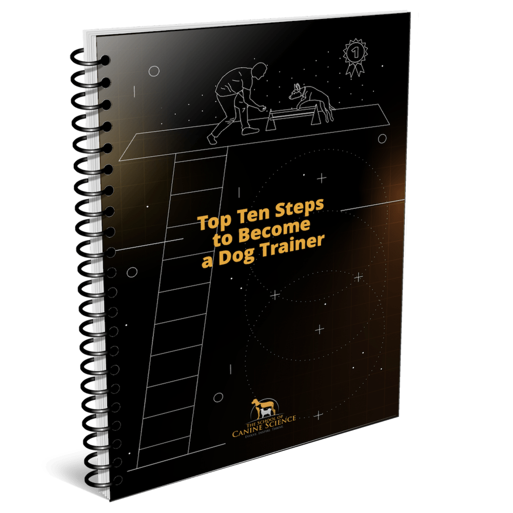 scocs-pdf-3d-cover-min