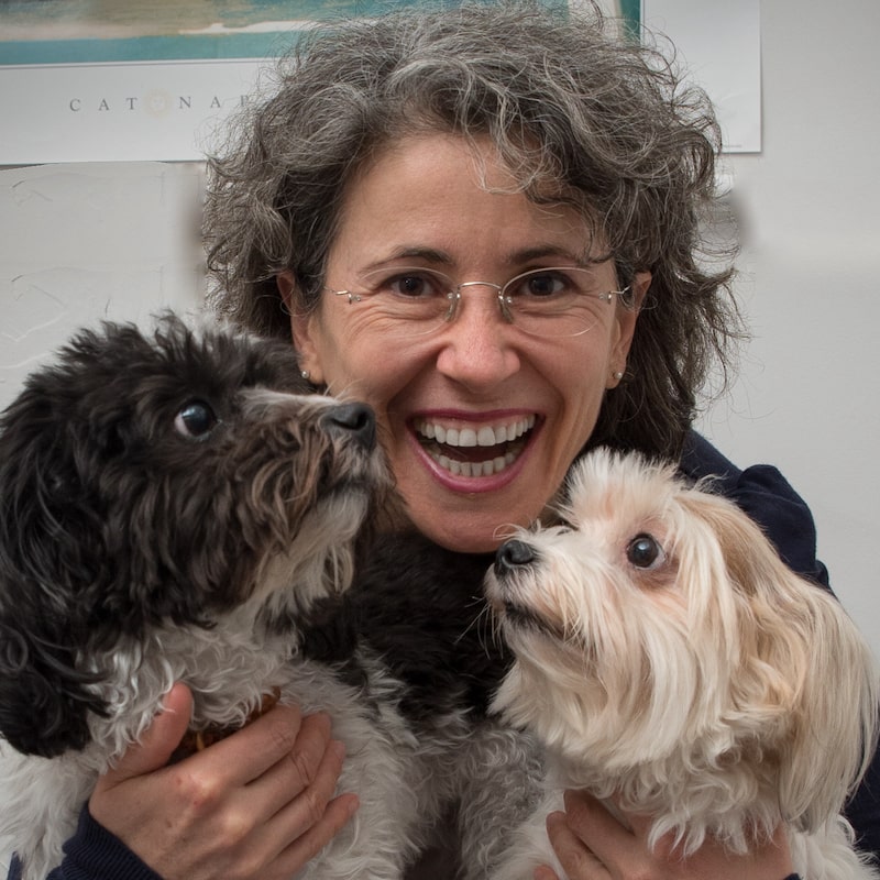 Holistic Dog Care Summit JOOF Holistic Pet