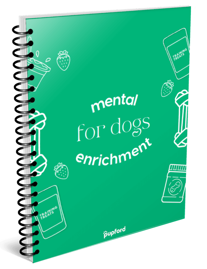 pupford-ebook-3d-min