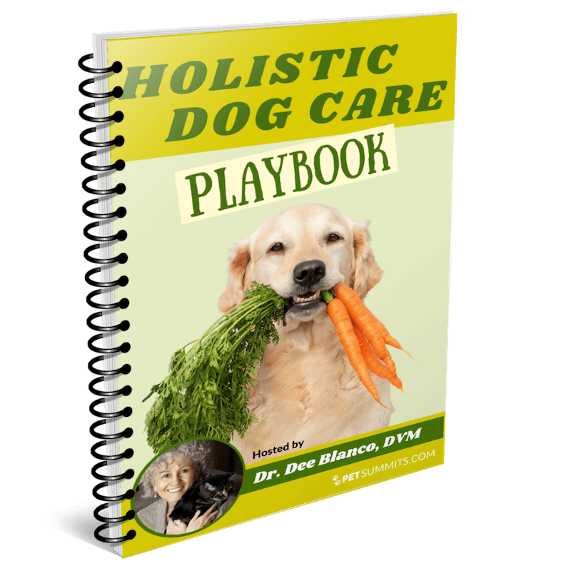 holistic-playbook-cover-3d-new-min