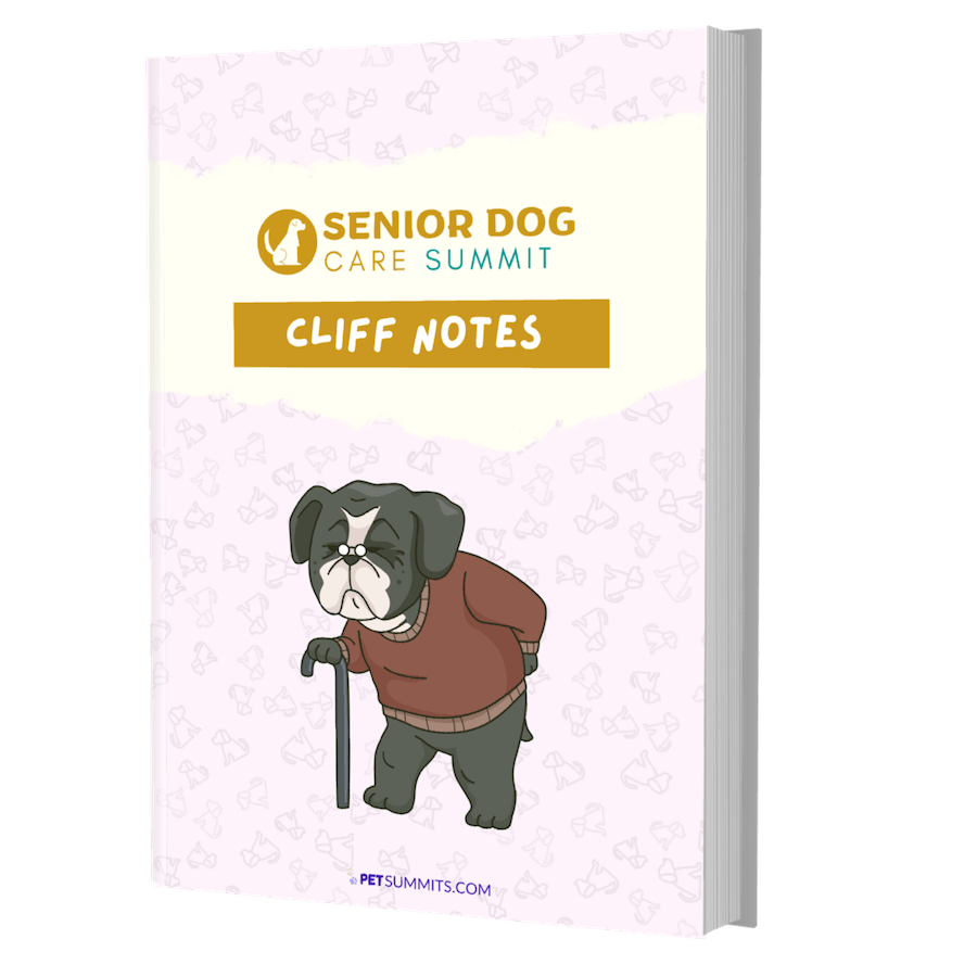 senior-dog-cliffnotes-3d-cover-min