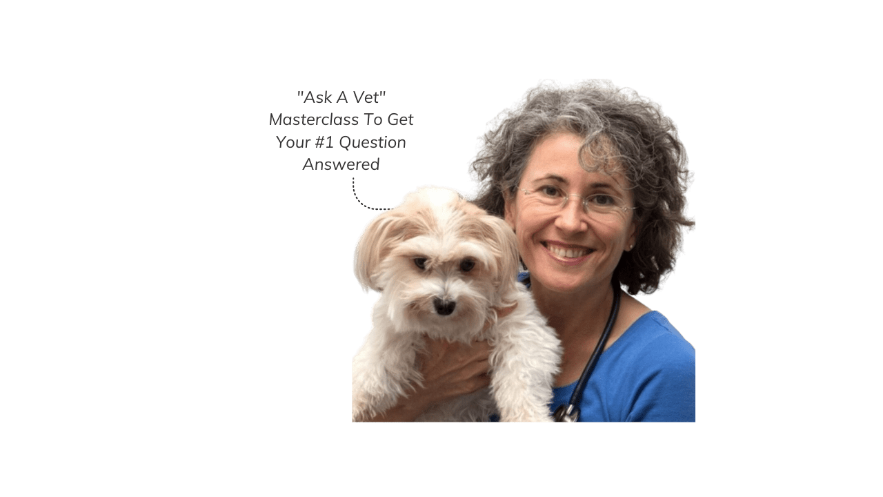 6-min-1-300x300 (Dog Detox Summit)-min