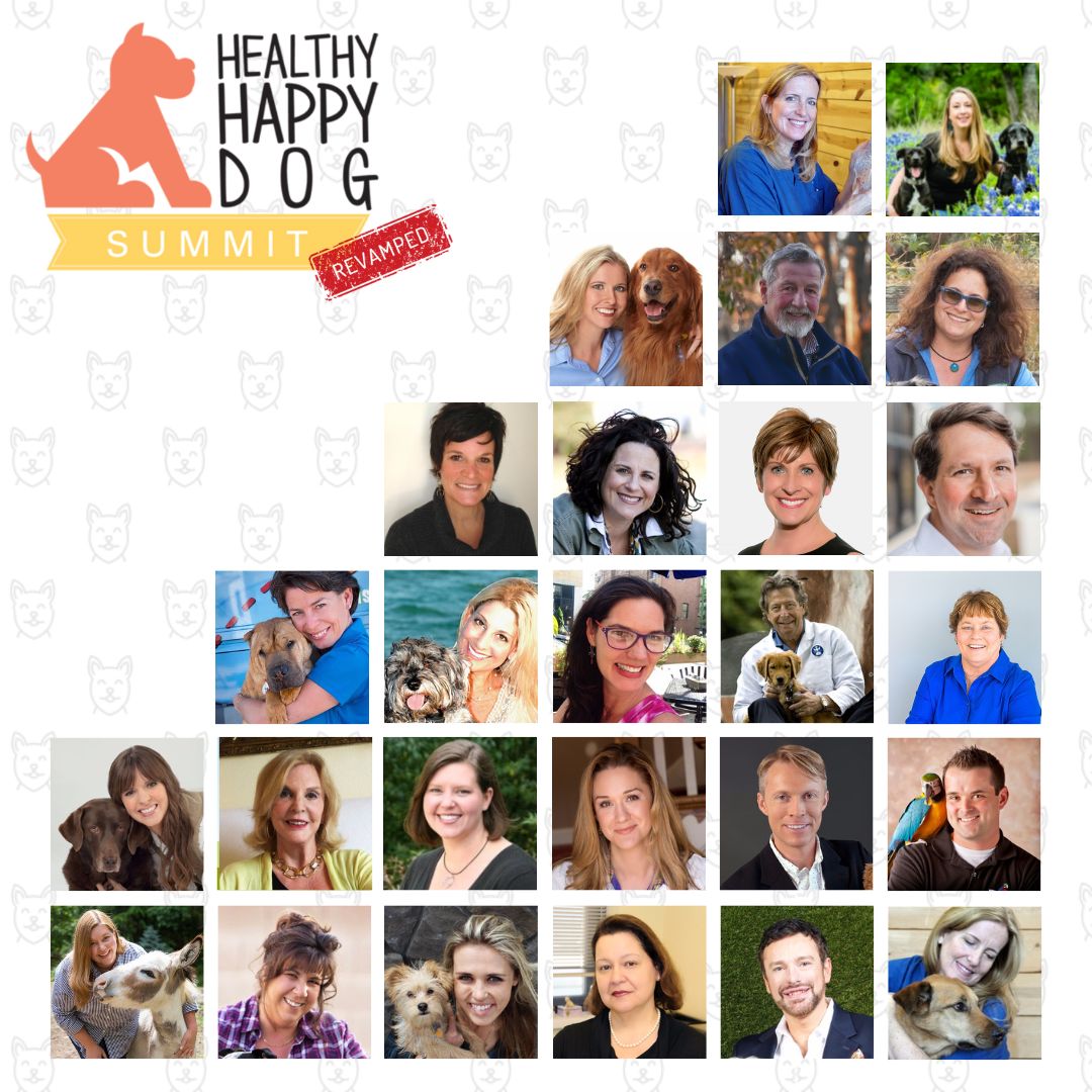 Healthy Happy Dog Summit “Revamped” Premium Pass | Digital Only