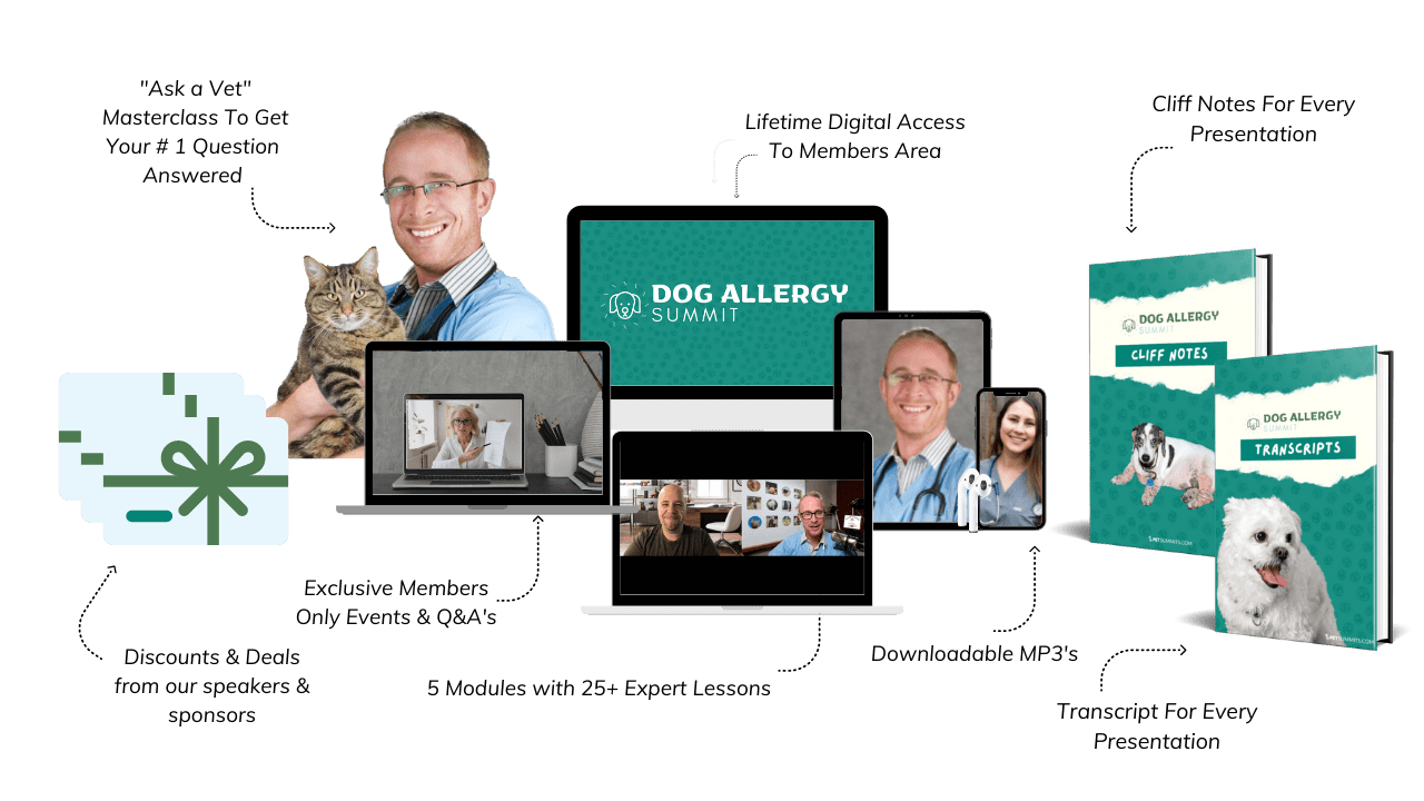 dog-allergy-offer-images-1-min-1024x576