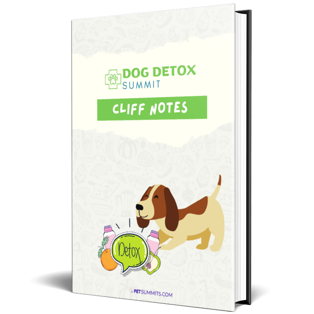 dog-detox-book-cliffnotes-3d-min