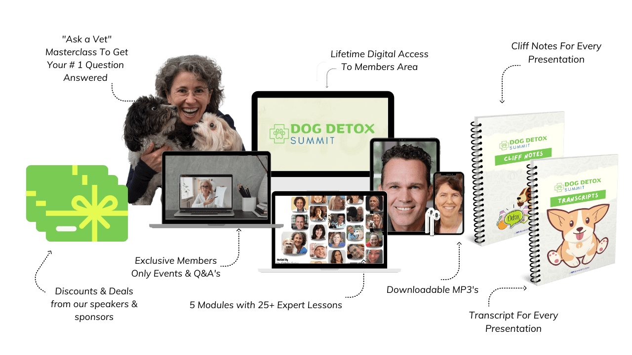 dog-detox-offer-images-min
