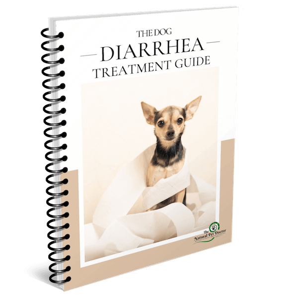 fpiDSoohR9CTNyJVgakz_1-diarrhea-guide-min