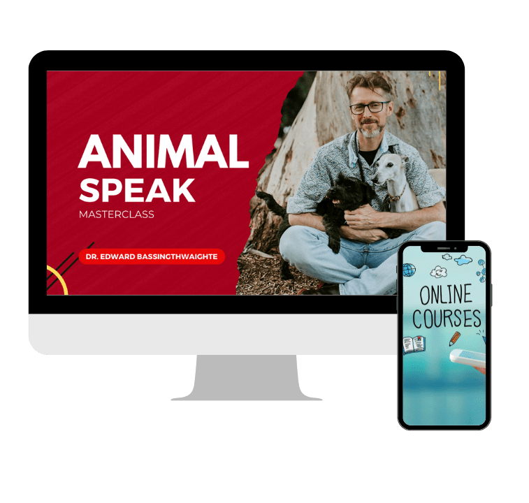 animal-speak-course-min