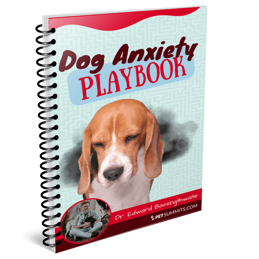 playbook-cover-3d-min