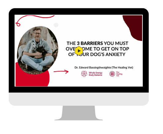 Dog Anxiety - Offer Images (4)-min (1)