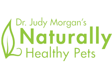 Dr._Judy_Morgan_Logo-removebg-preview