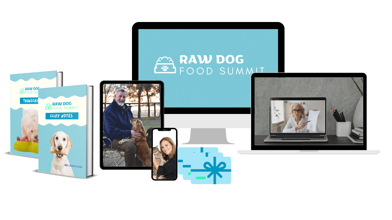 raw-dog-digital-min