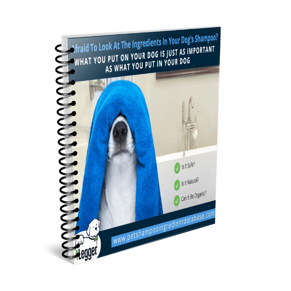 4 legger free gift