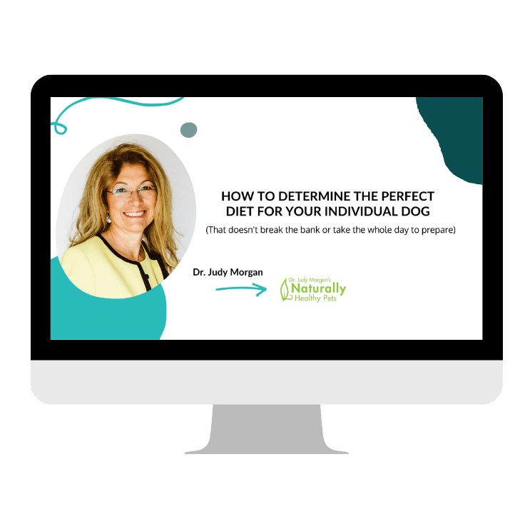 Judy Morgan Webinar-nutrition