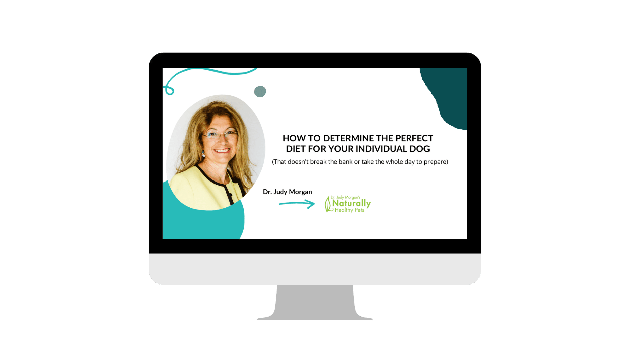 Judy Morgan Webinar-nutrition