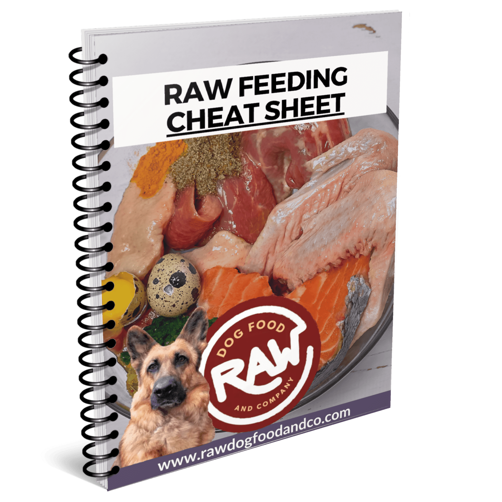 raw_dog_food_co_free_gift