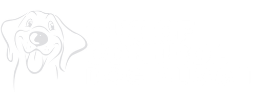 Out Of Contol Dog Summit logo 2