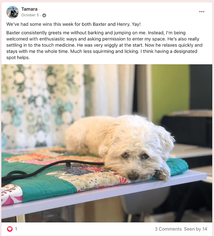 anxiety-testimonial-3