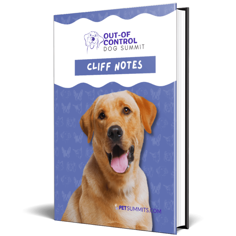 Out Of Control - cliff notes (2)