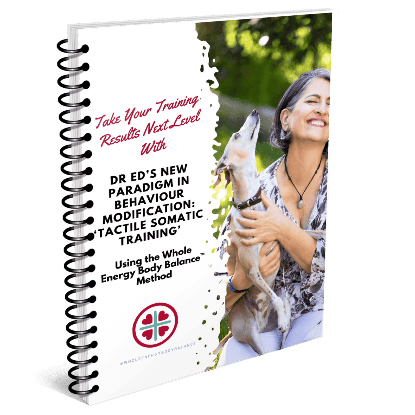 The Healing Vet - free gift sponsor cover-min (1)
