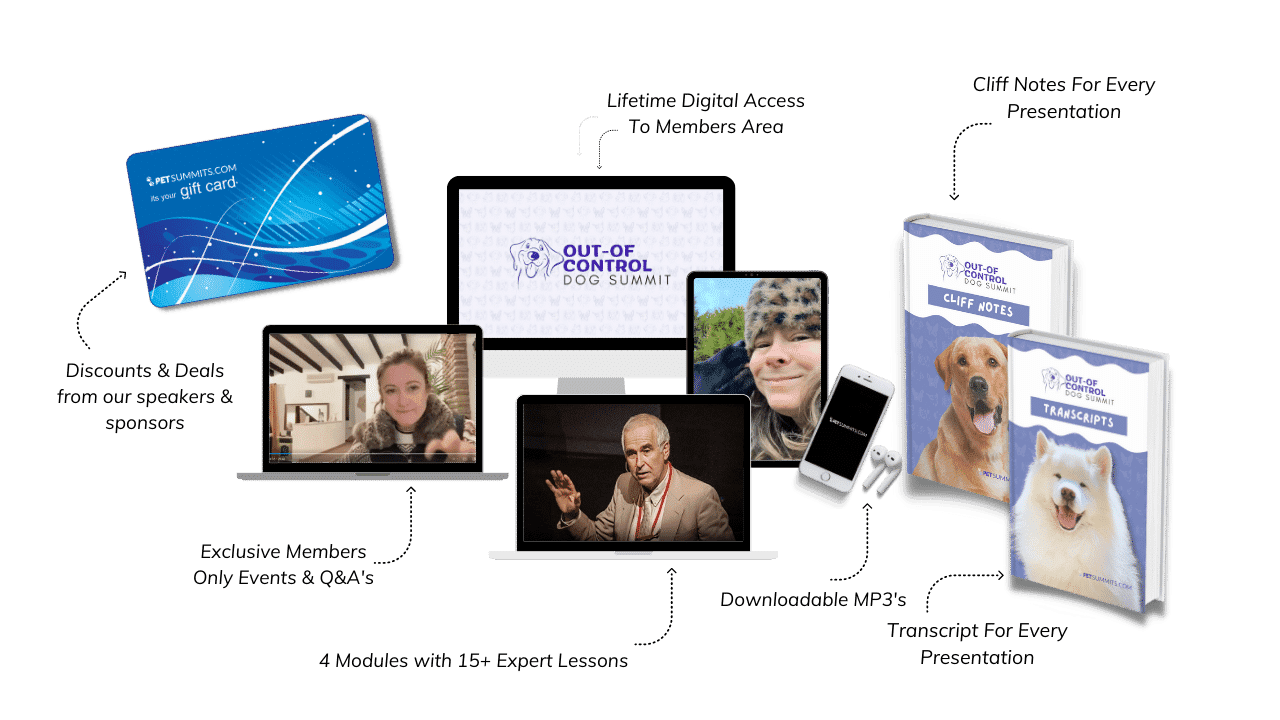control-offer image (1)