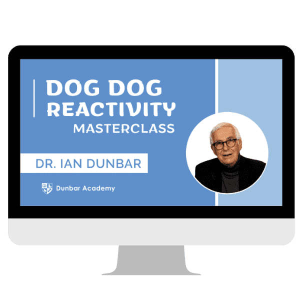 Dog Dog Reactivity Masterclass img