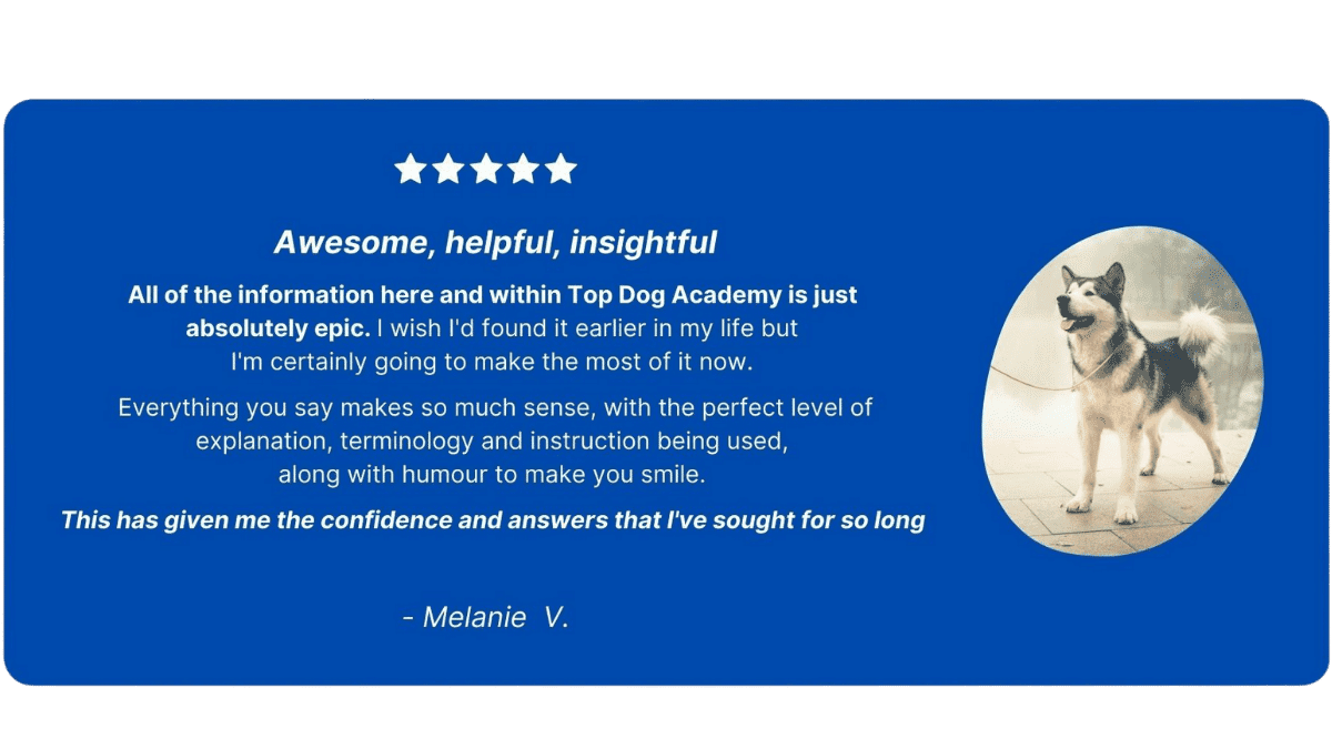 reactivity toolkit bundle testimonial 4 (1)