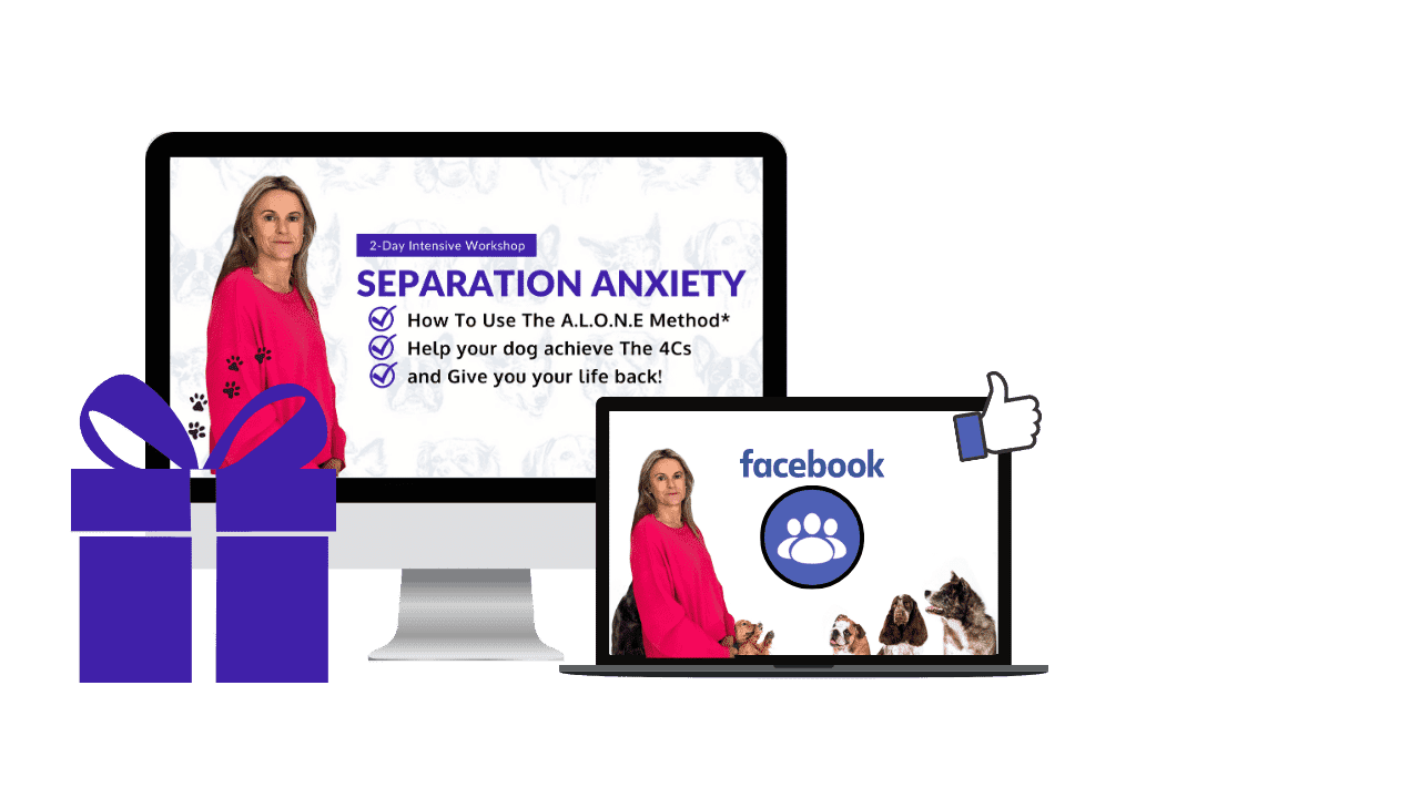 Separation Anxiety Images (1280 × 720px) FB