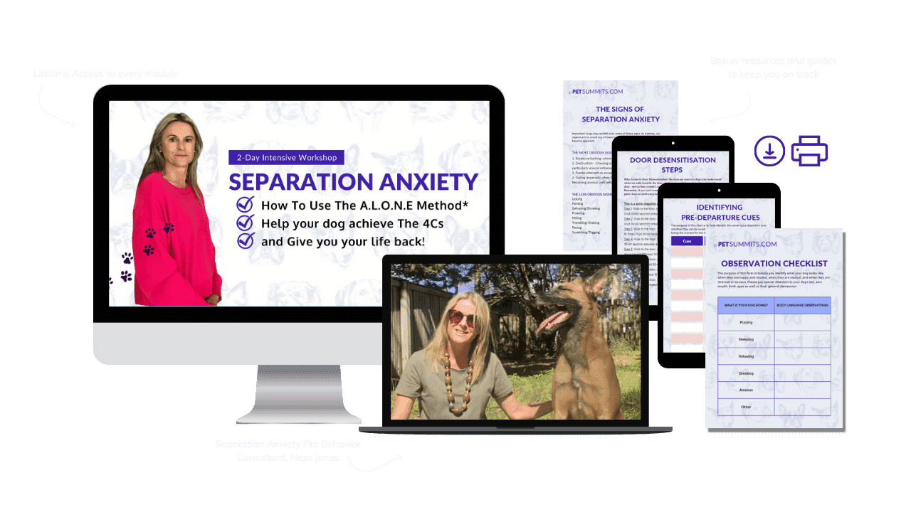Separation Anxiety Images -product (1)