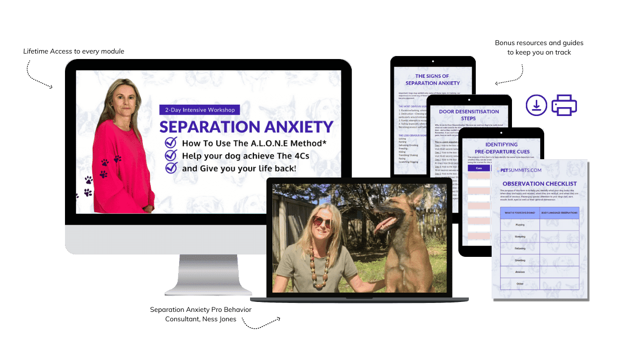 Separation Anxiety Product Images