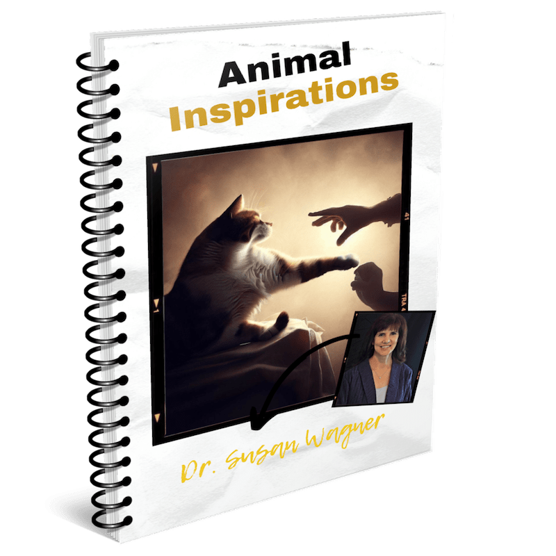 animal-inspirations-cover-min