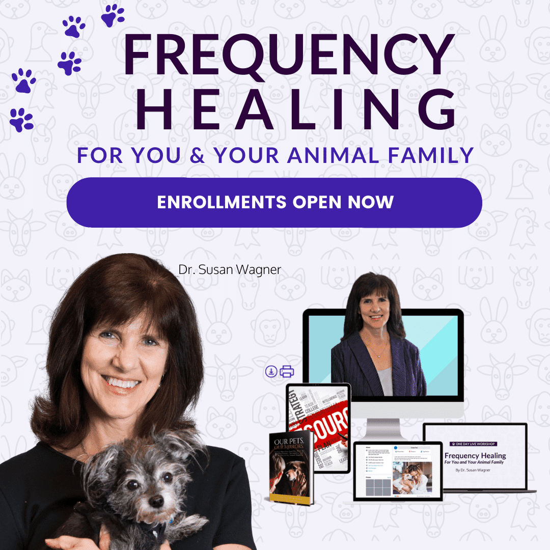 Frequency Healing For You And Your Animal Family Workshop w/ Dr. Susan Wagner