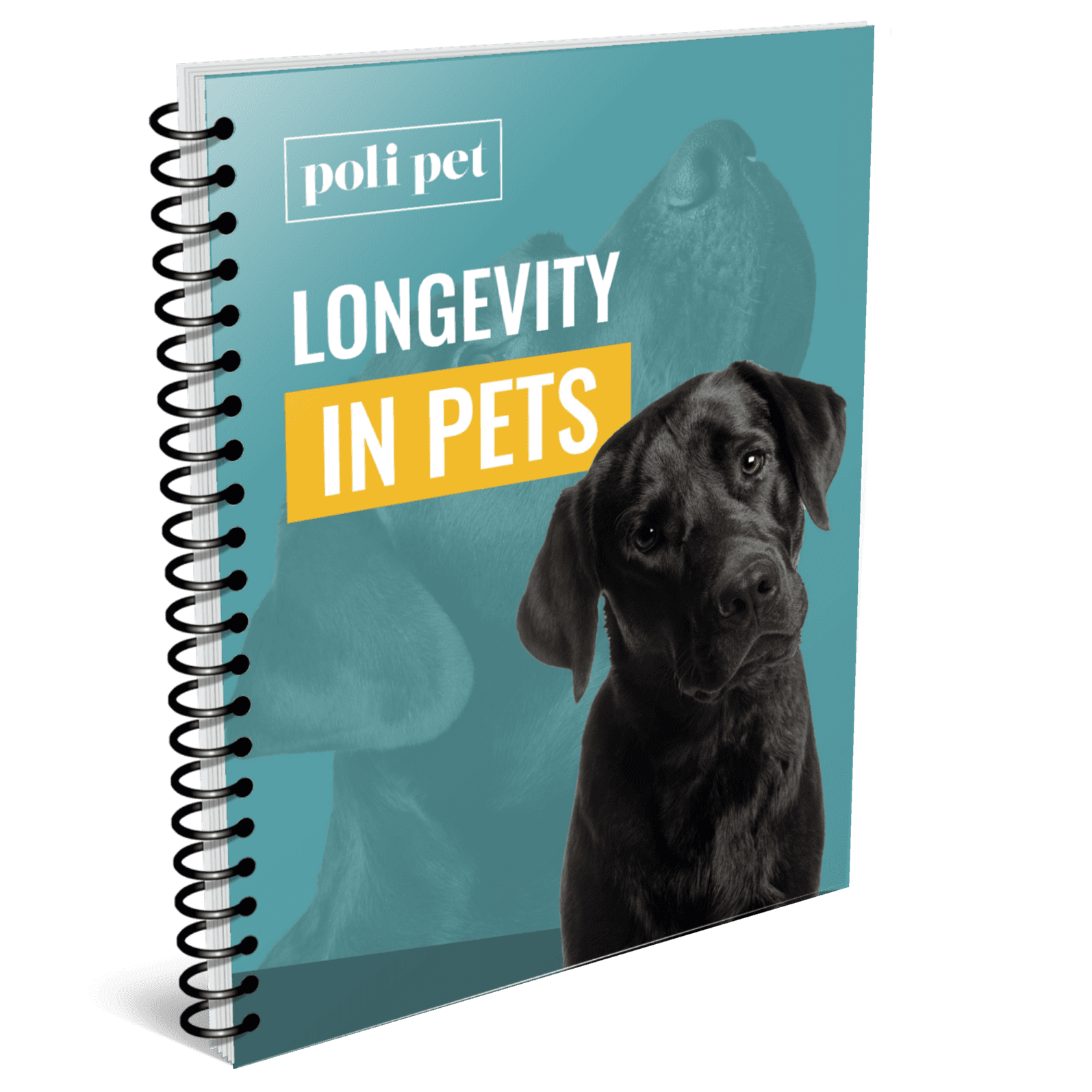 longevity in pets-polipets cover