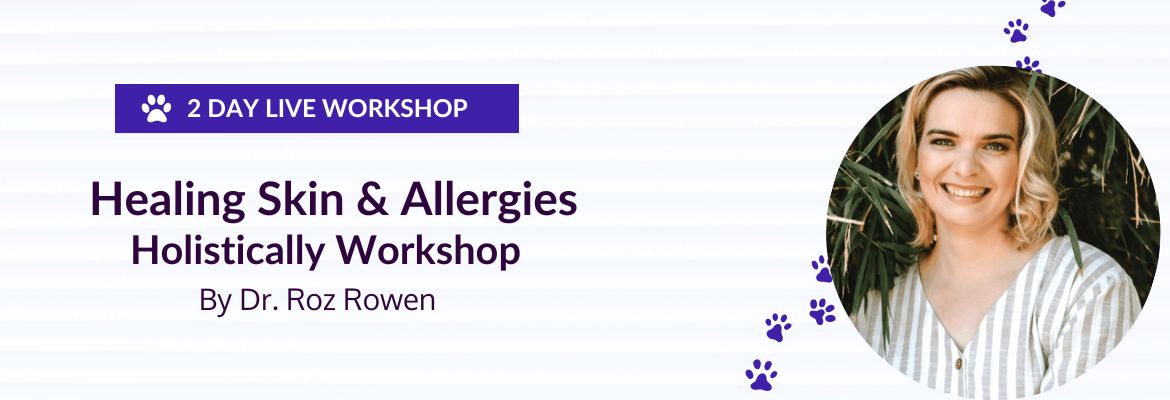 Healing Skin & Allergies Holistically Workshop by Dr. Roz Rowen Banner (1)