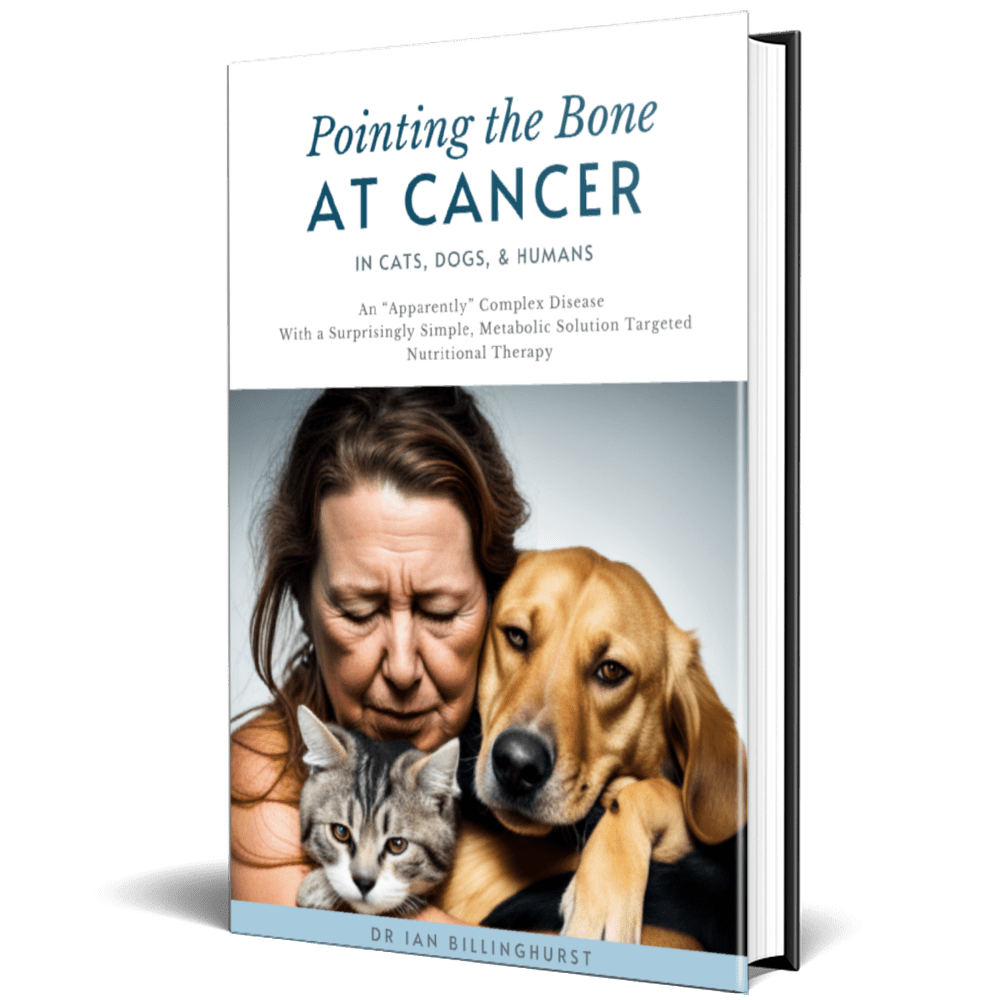 Pointing The Bone by Dr. Ian - Ebook for Raw Natural Food Summit (1)