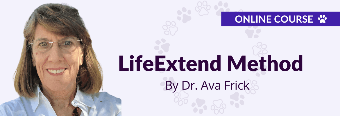 Thrive Apprentice Cover Image-min