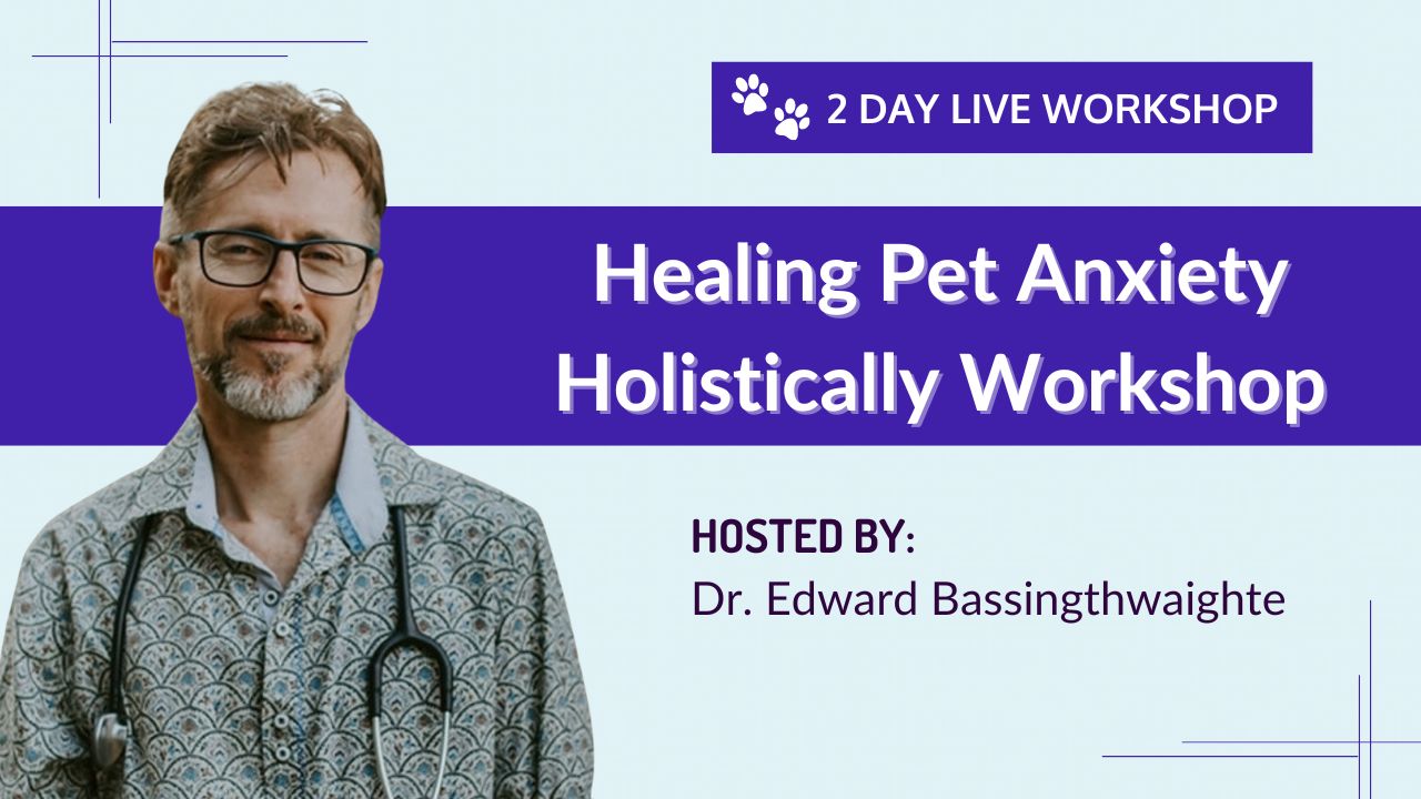 Healing Pet Anxiety Holistically Workshop (1280 × 720px)