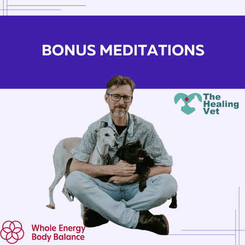 Healing Pet Anxiety Holistically Workshop (2)