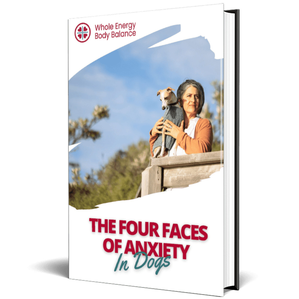 The Four Faces Of Anxiety In Dogs-cover