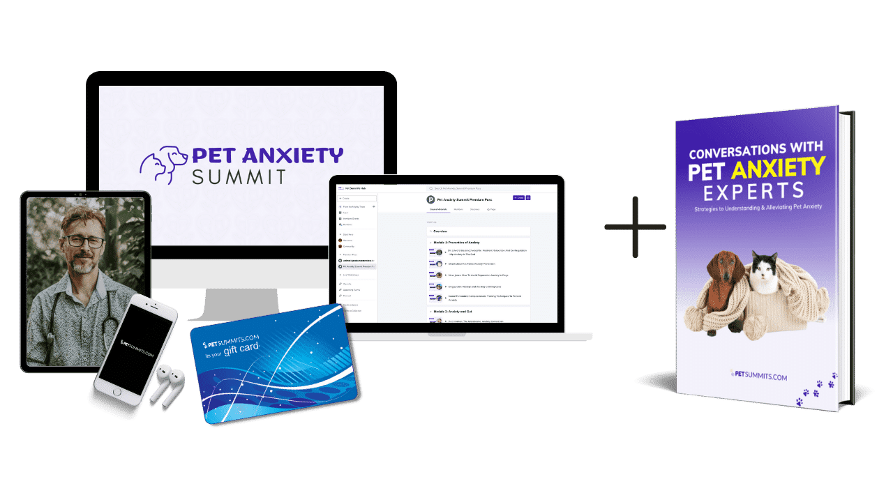 anxiety-digtal+book-cover