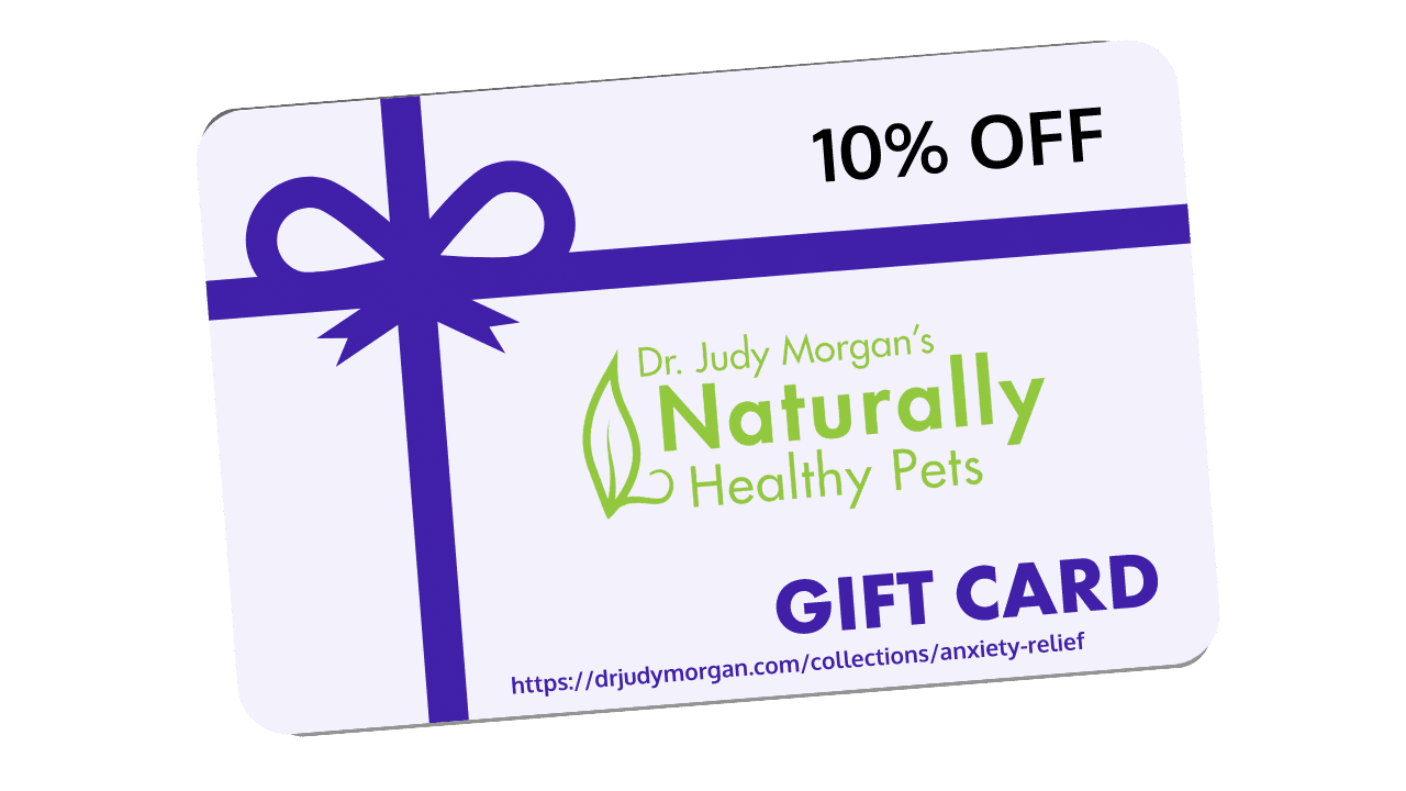 judy-morgan-gift-card (1)