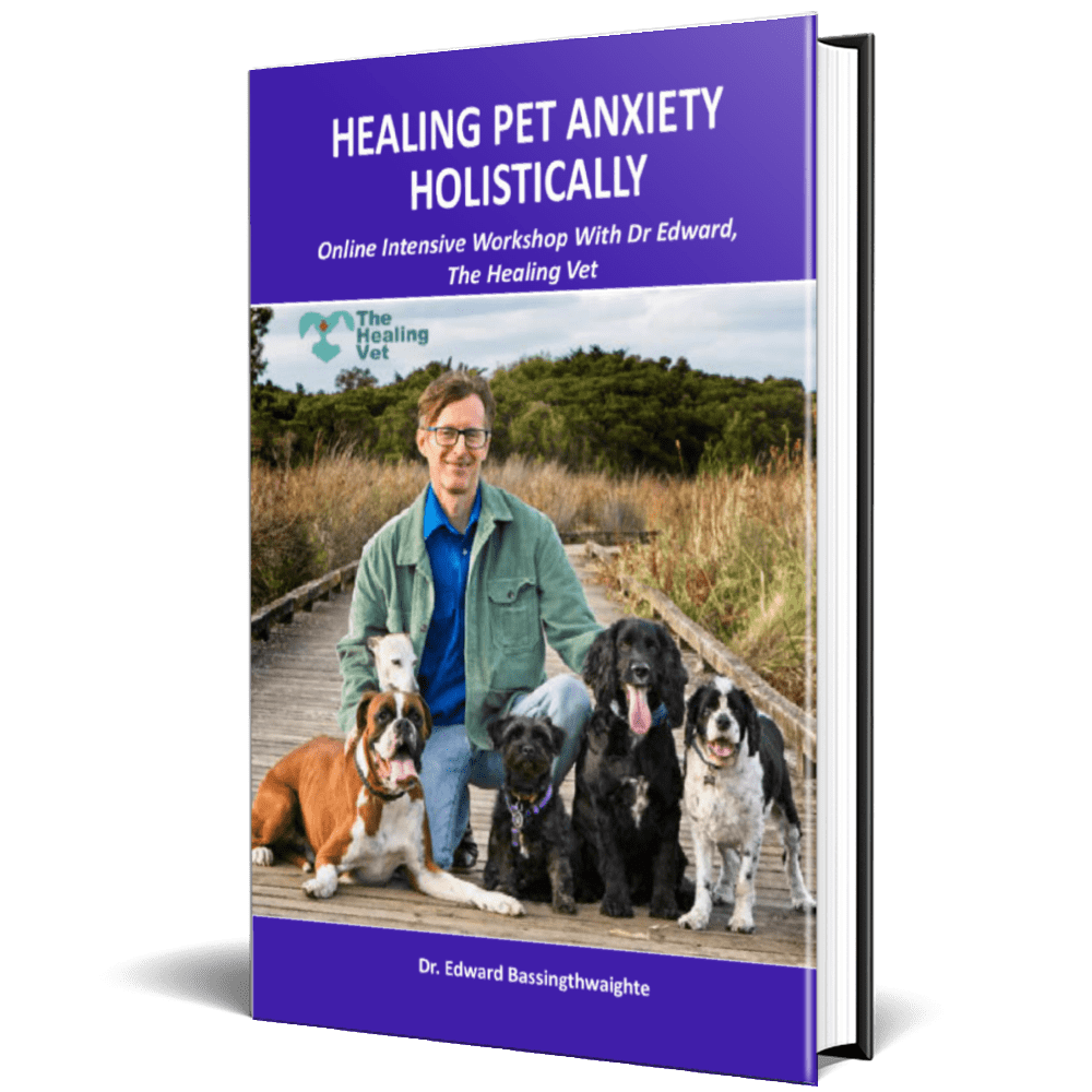 Healing Pet Anxiety Holistically Workbook-cover-final-img