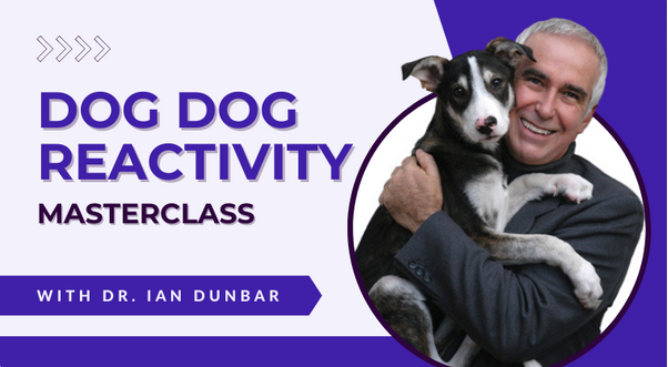 dog-dog-reactivity-masterclass Dog Dog Reactivity Masterclass by Dr Ian Dunbar