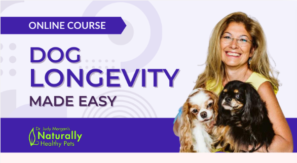 Dog Longevity Made Easy Online Course by Dr Judy Morgan