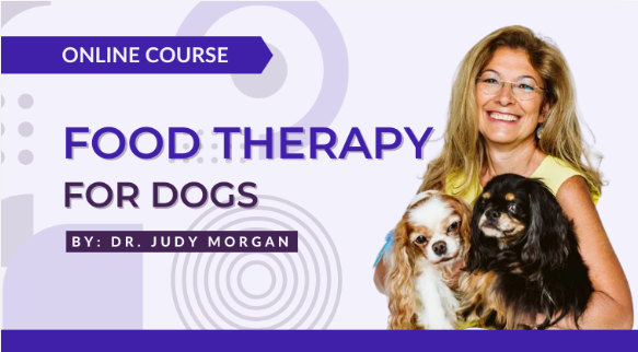 Food Therapy For Dogs Course by Dr Judy Morgan
