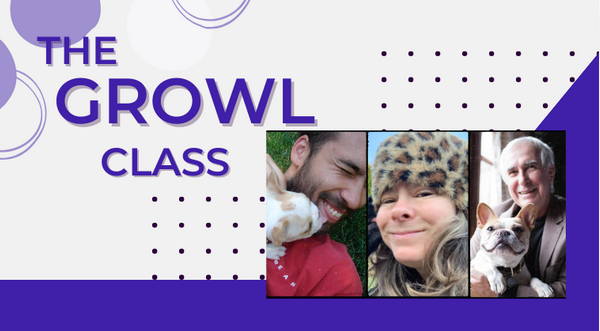 growl-class The Growl Class By Dr Ian Dunbar